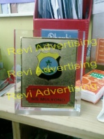 Revi advertising4